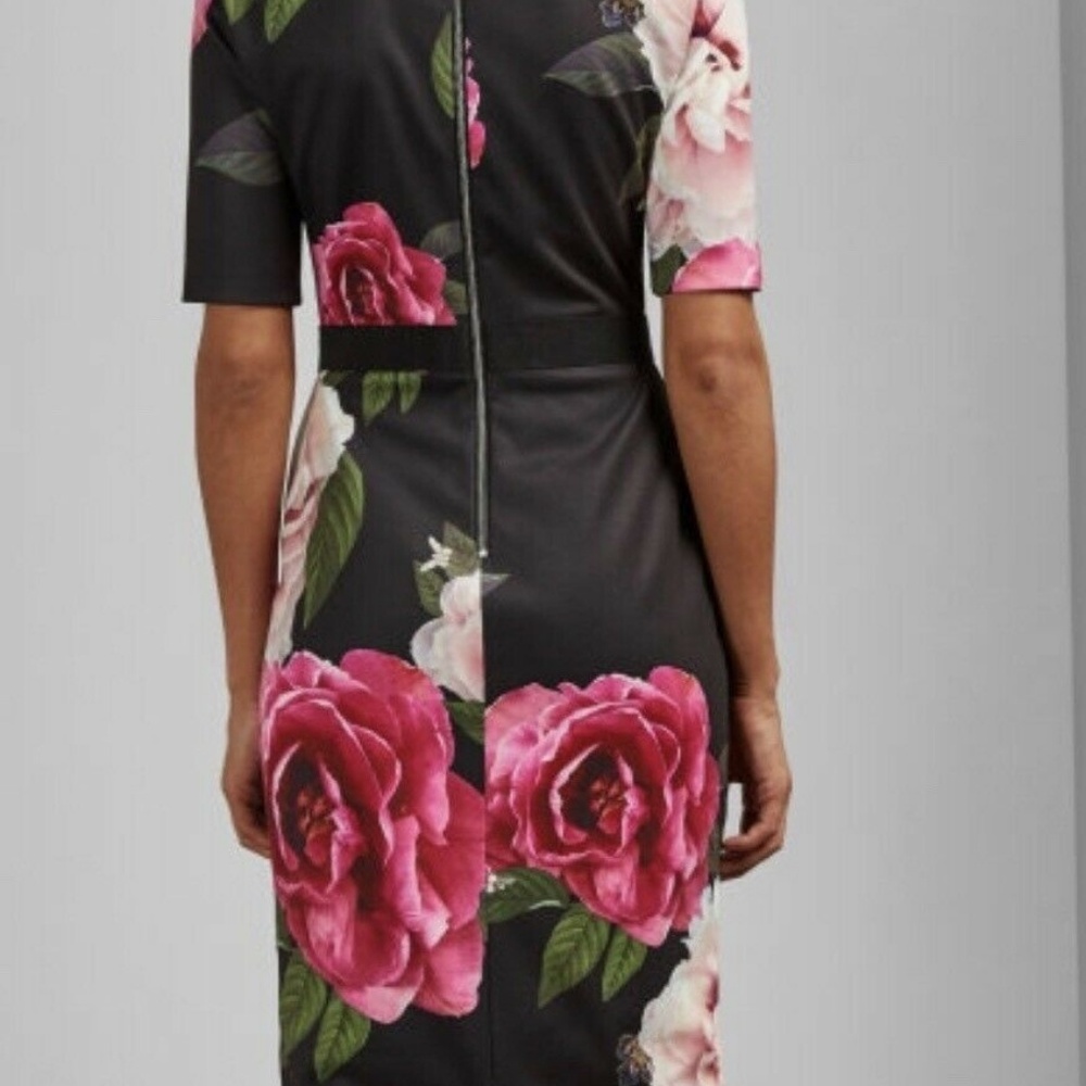 Ted Baker Gilanno Magnificent Dress  6 US - Picture 4 of 6